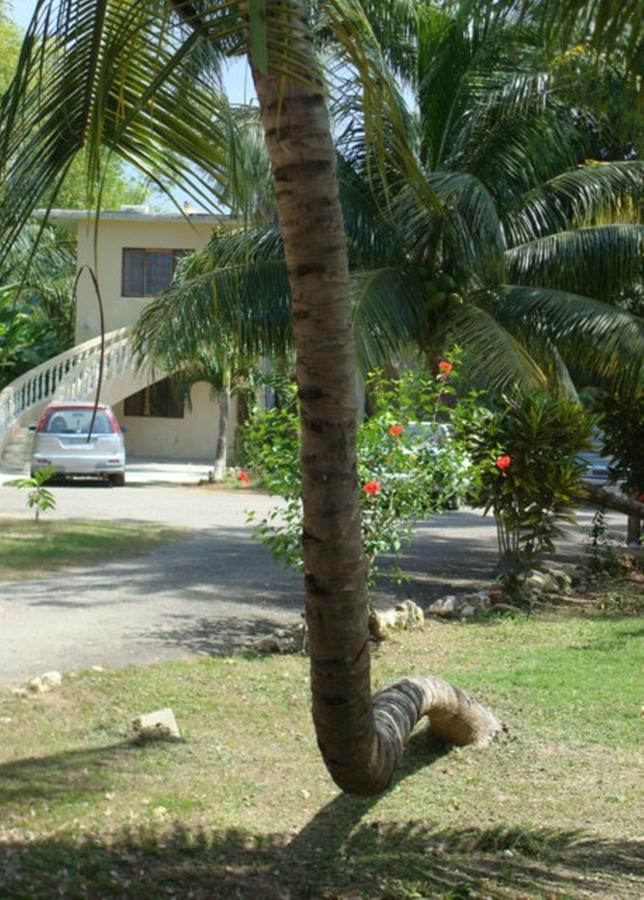 Ocean Wave Villa, Negril Ngoại thất bức ảnh